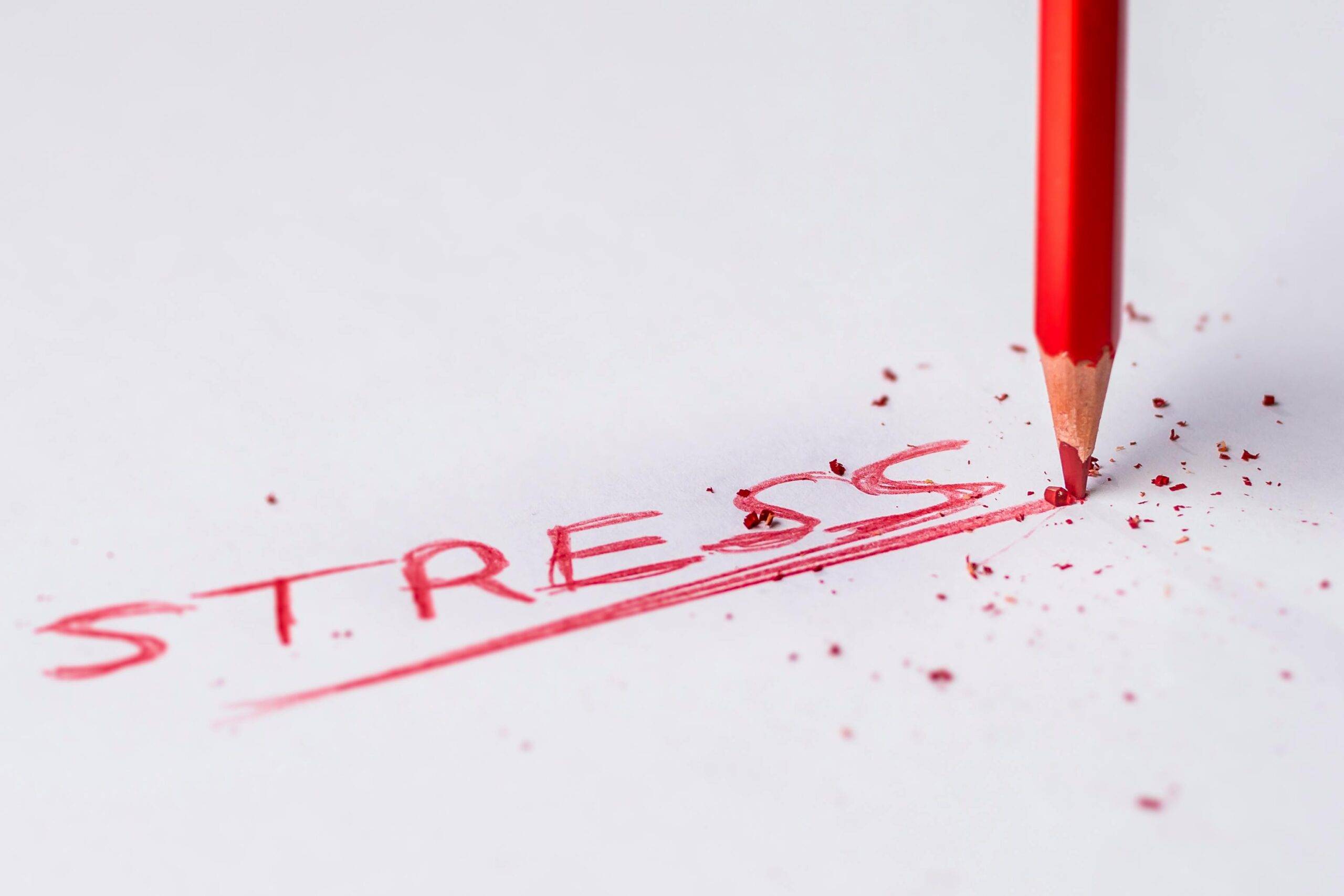 The Link Between Cortisol and Stress