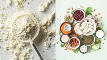 What Is Vegan Protein?