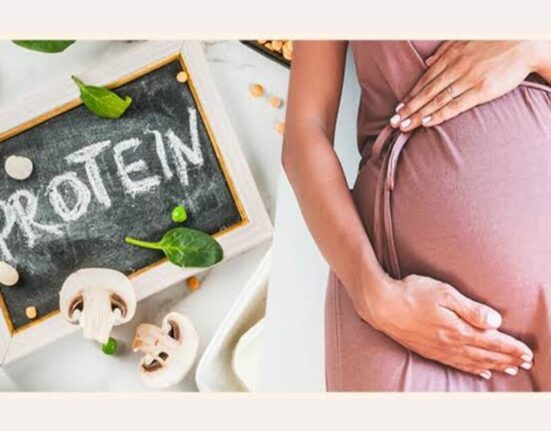 pregnancy safe protein powder